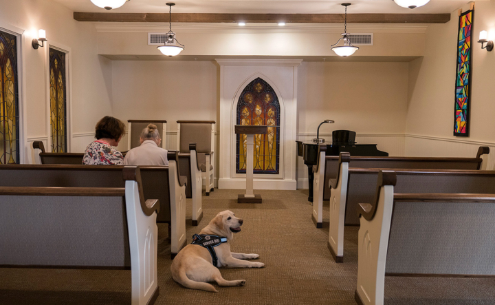 paradise-church
